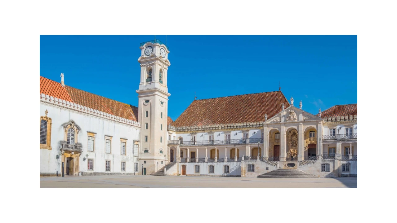 Terreno para Venda em Ceira Foto 10