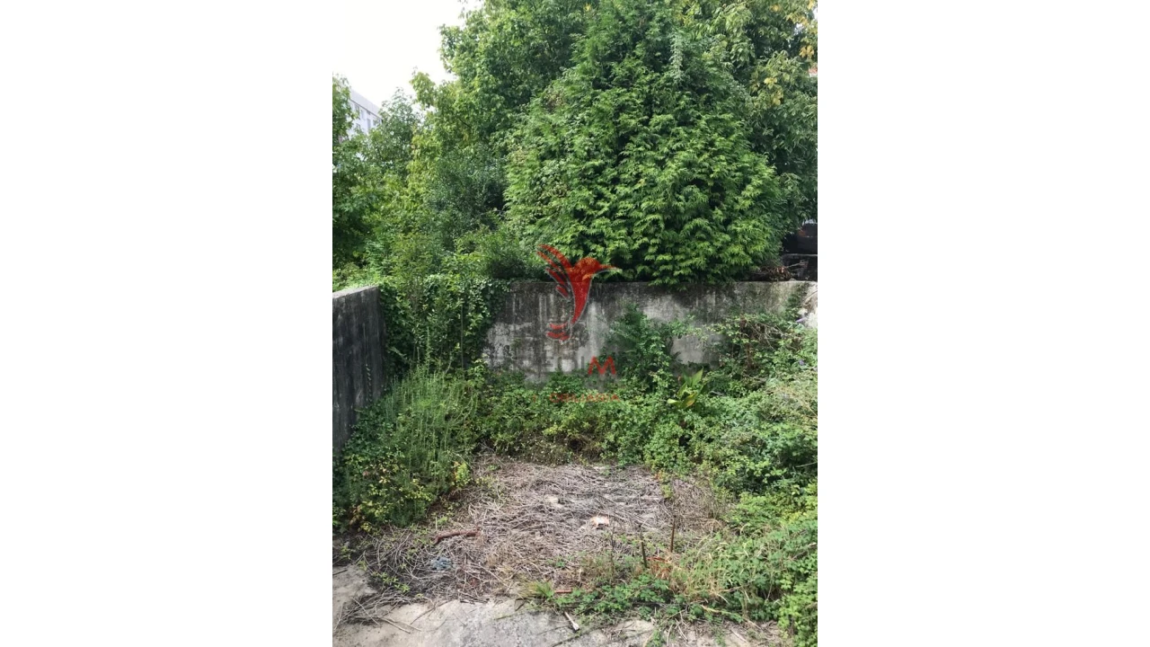 Prédio para Venda em Cedofeita, Santo Ildefonso, Sé, Miragaia, São Nicolau e Vitória Foto 11