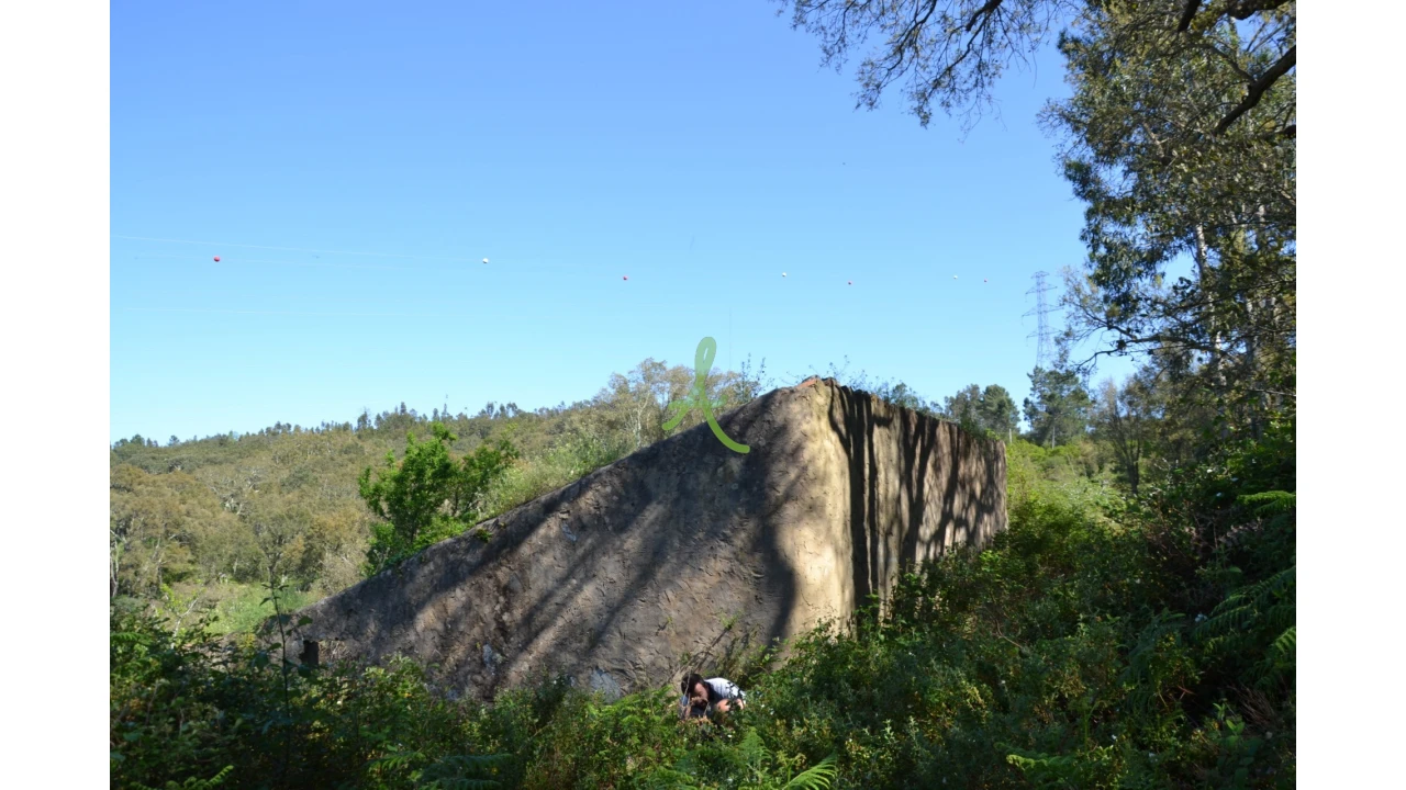 Terreno para Venda em Alferce Foto 7