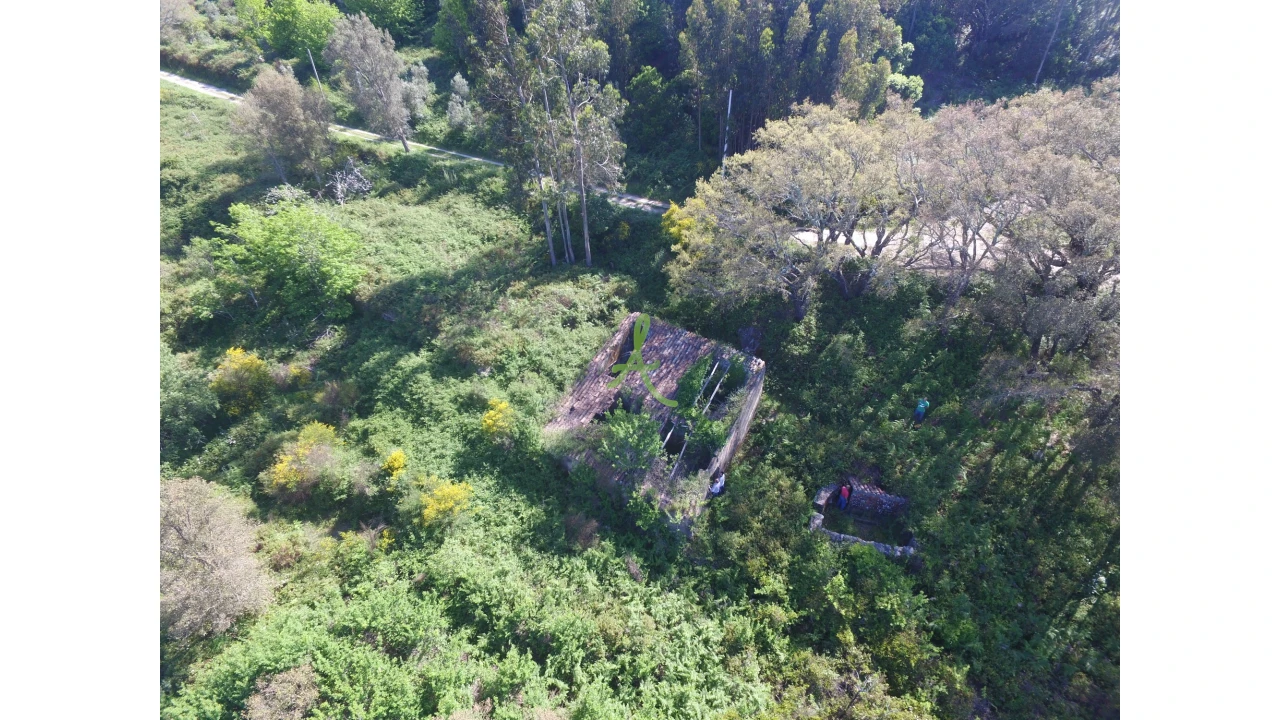 Terreno para Venda em Alferce Foto 3