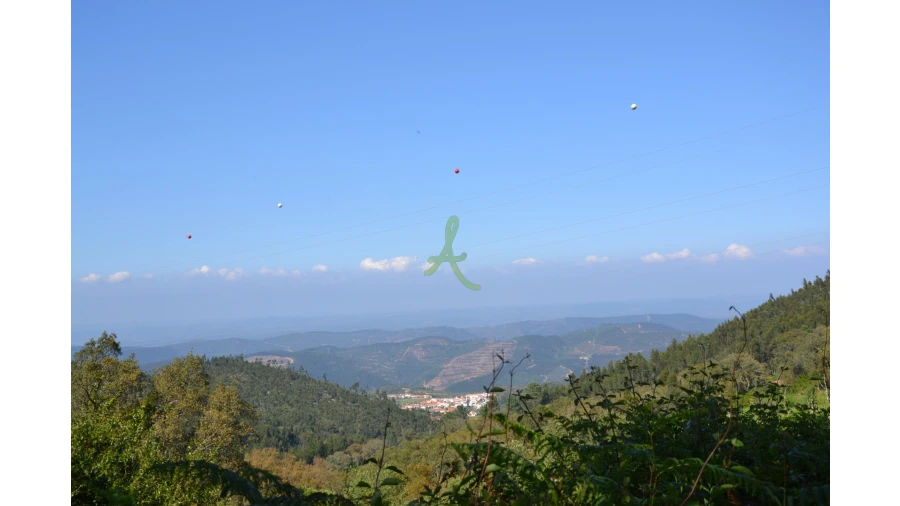 Terreno para Venda em Alferce Foto 5