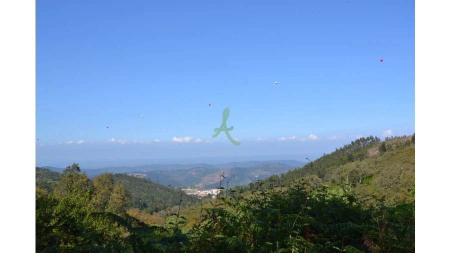 Terreno para Venda em Alferce Foto 4