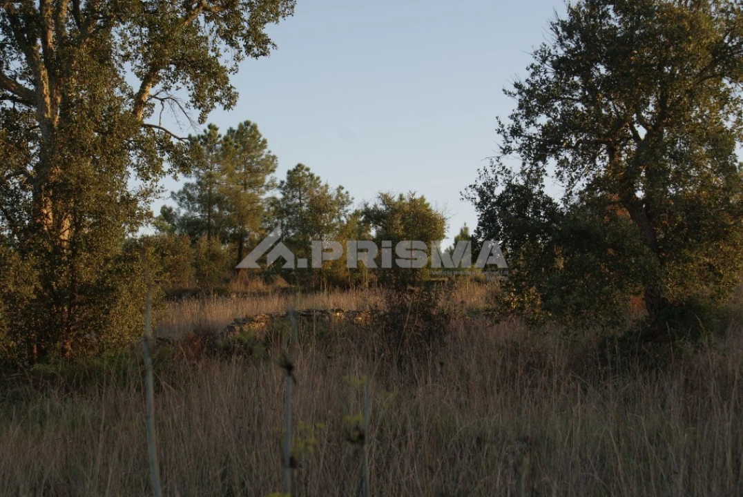 Terreno para Venda em Castelo Branco Foto 3