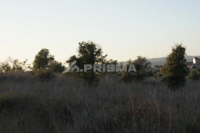 Terreno para Venda em Castelo Branco