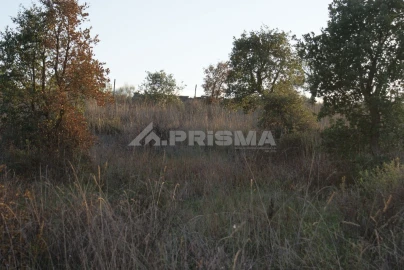 Terreno para Venda em Castelo Branco