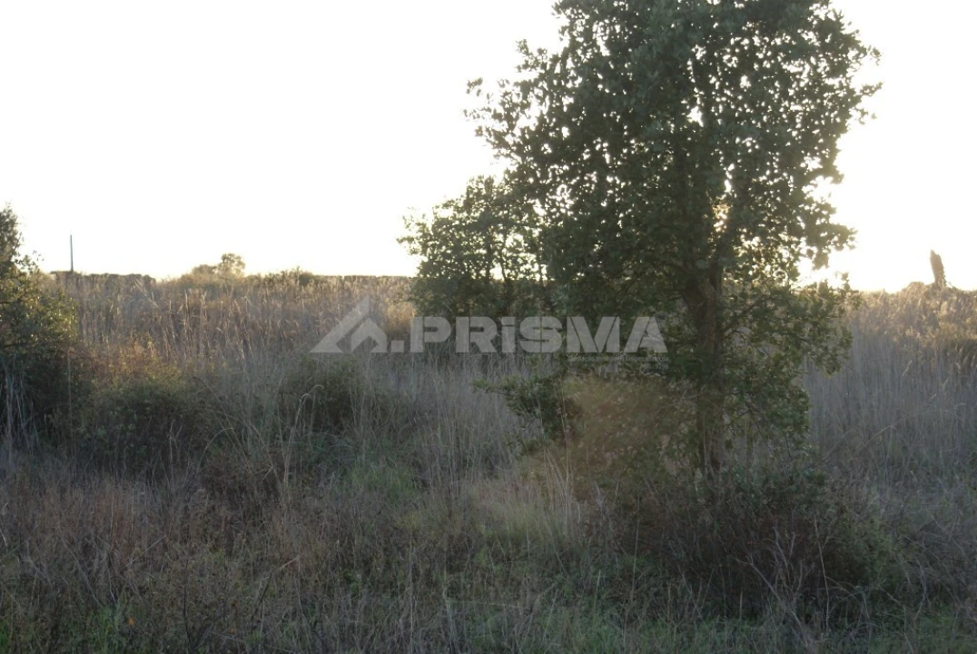 Terreno para Venda em Castelo Branco Foto 12