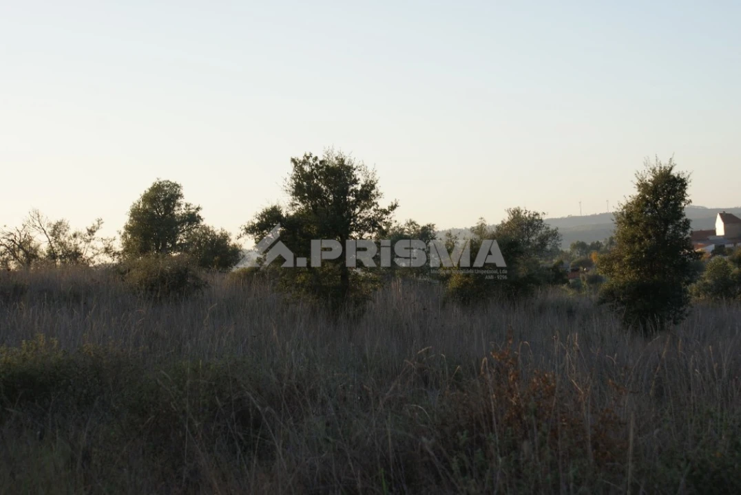Terreno para Venda em Castelo Branco Foto 5
