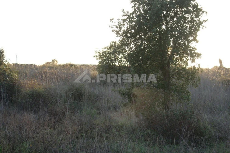 Terreno para Venda em Castelo Branco Foto 12