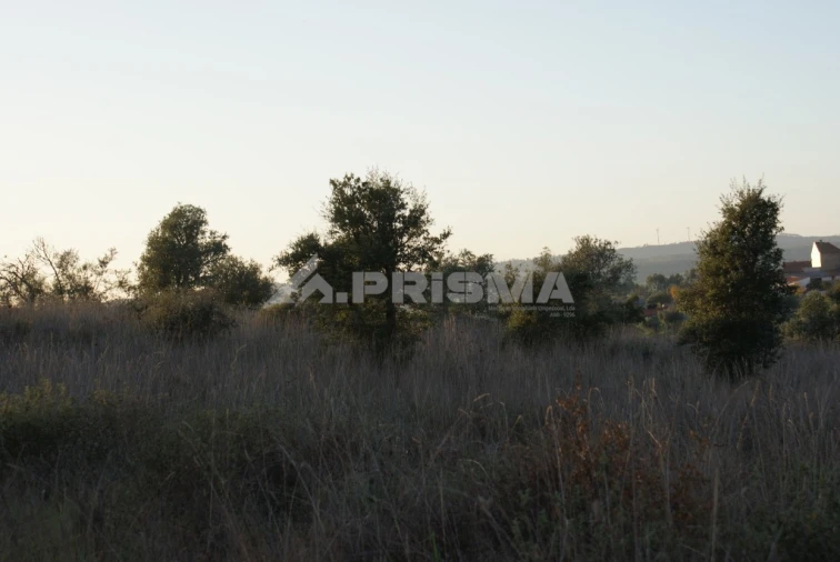 Terreno para Venda em Castelo Branco Foto 5
