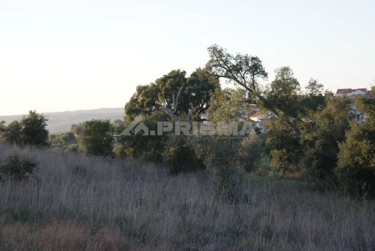 Terreno para Venda em Castelo Branco Foto 6