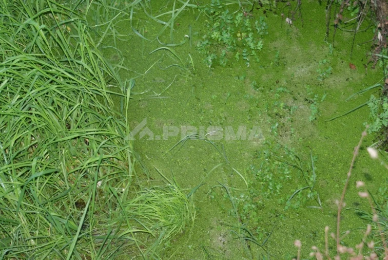 Terreno para Venda em Castelo Branco Foto 8