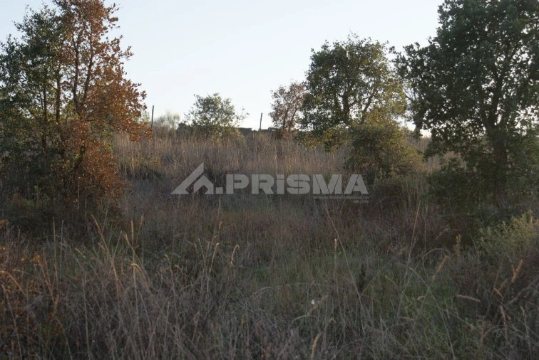 Terreno para Venda em Castelo Branco Foto 11
