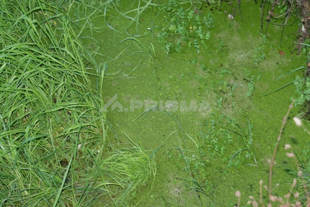 Terreno para Venda em Castelo Branco Foto 8