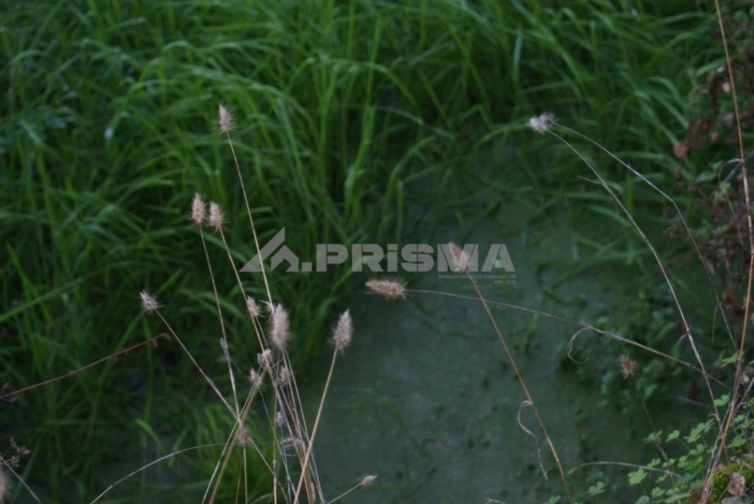 Terreno para Venda em Castelo Branco Foto 7