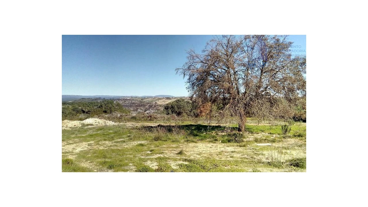 Terreno para Venda em Abitureiras Foto 2