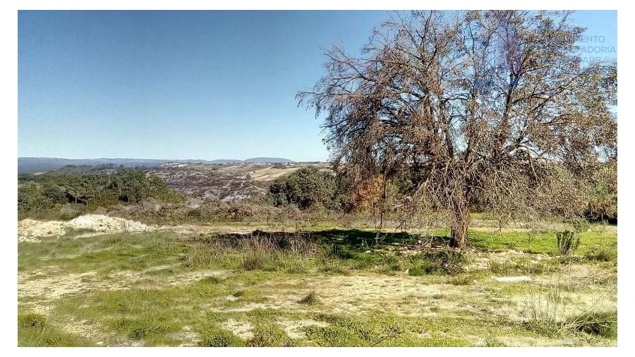 Terreno para Venda em Abitureiras Foto 2