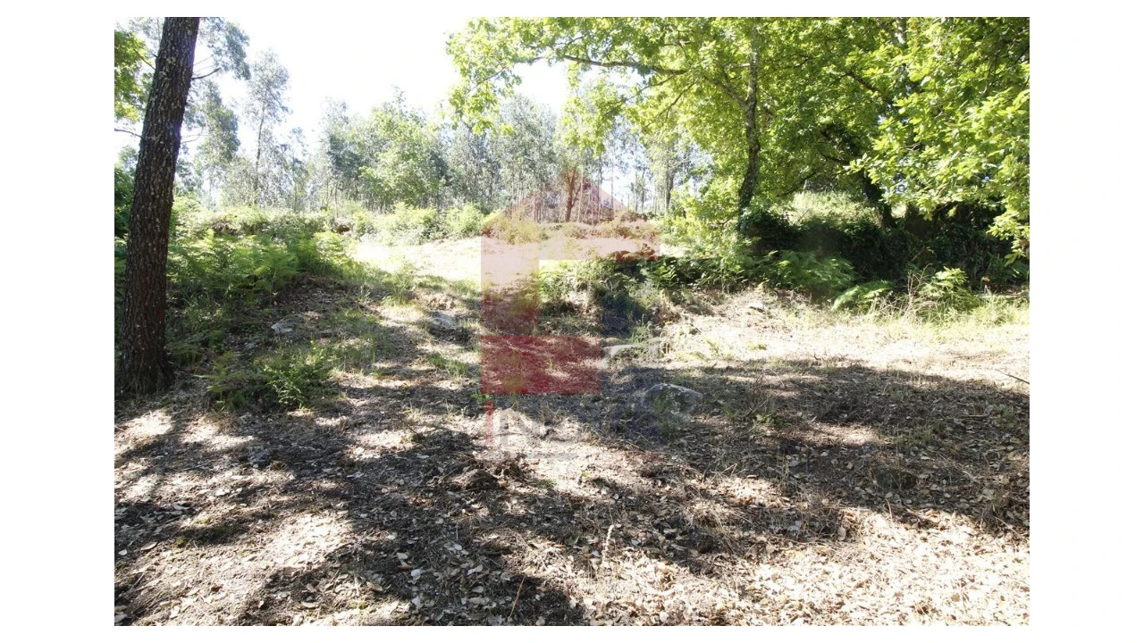 Moradia T1 para Venda em Verim, Friande e Ajude Foto 19