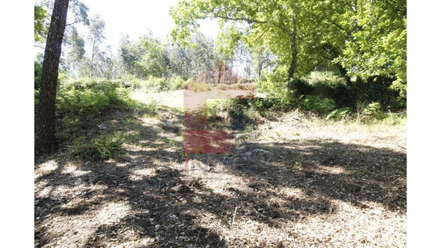 Moradia T1 para Venda em Verim, Friande e Ajude Foto 19