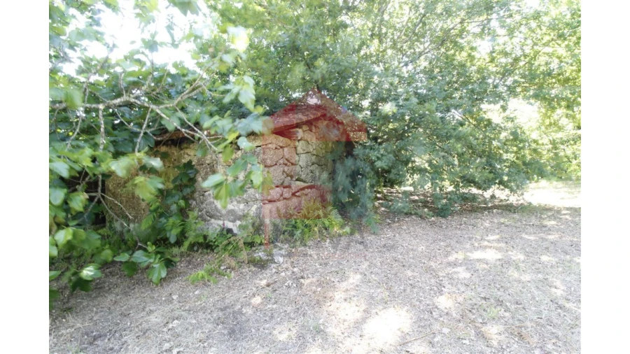 Moradia T1 para Venda em Verim, Friande e Ajude Foto 11