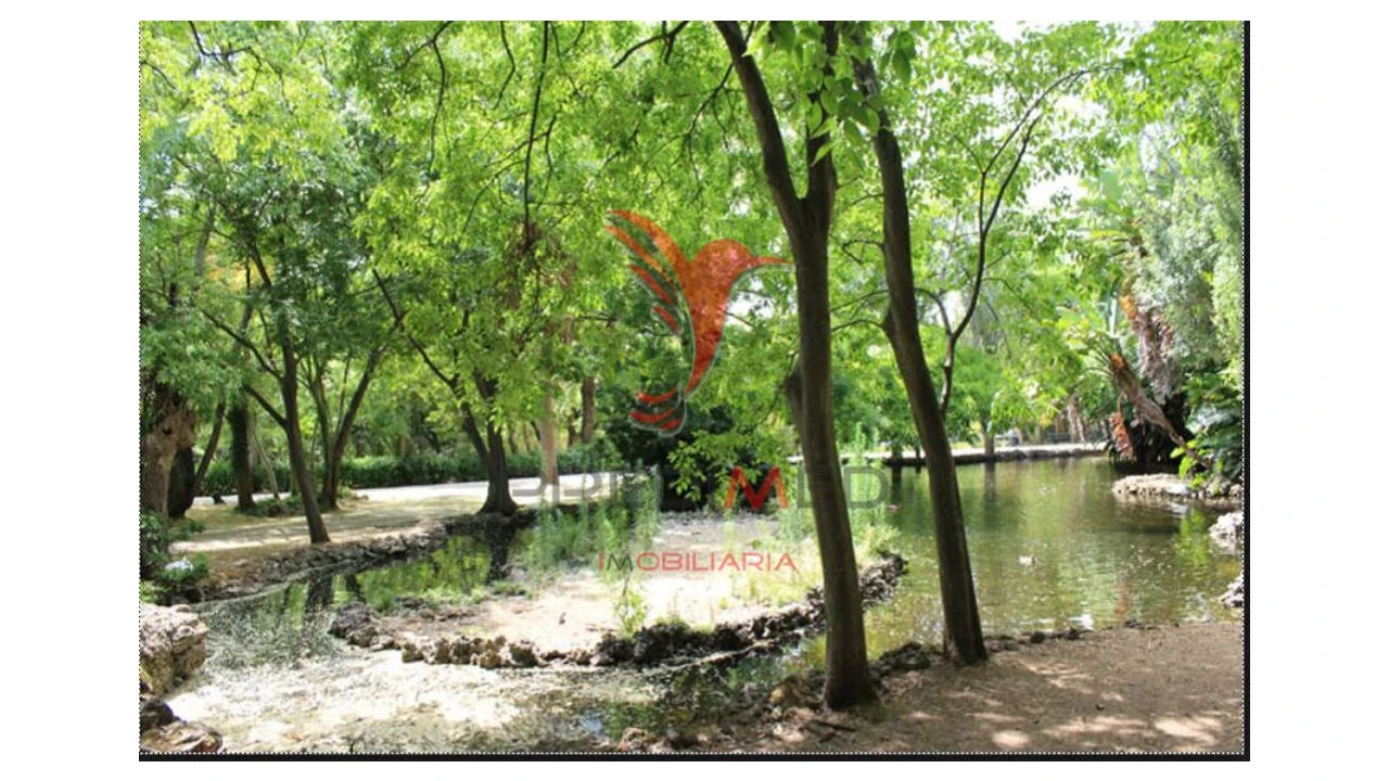 Apartamento T1 para Venda em Estrela Foto 6