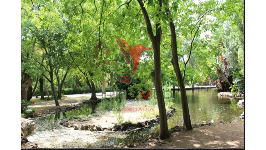 Apartamento T1 para Venda em Estrela Foto 6