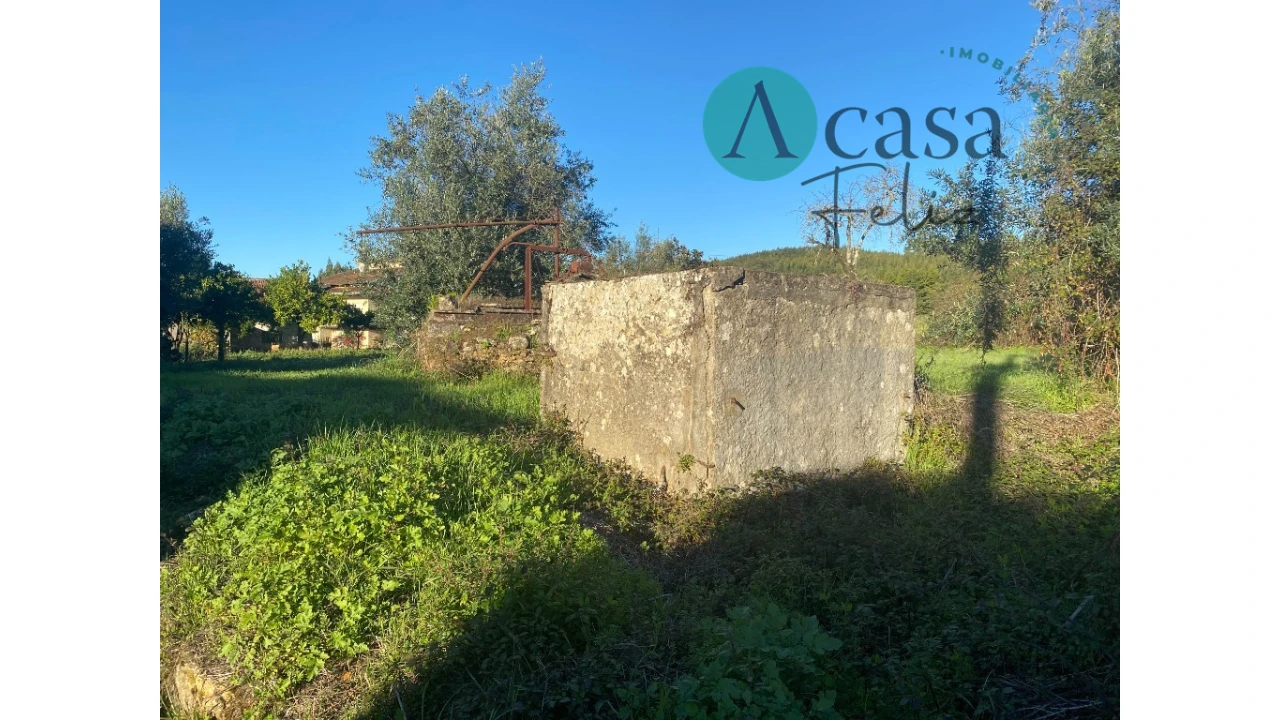 Terreno para Venda em Nossa Senhora do Pranto Foto 4
