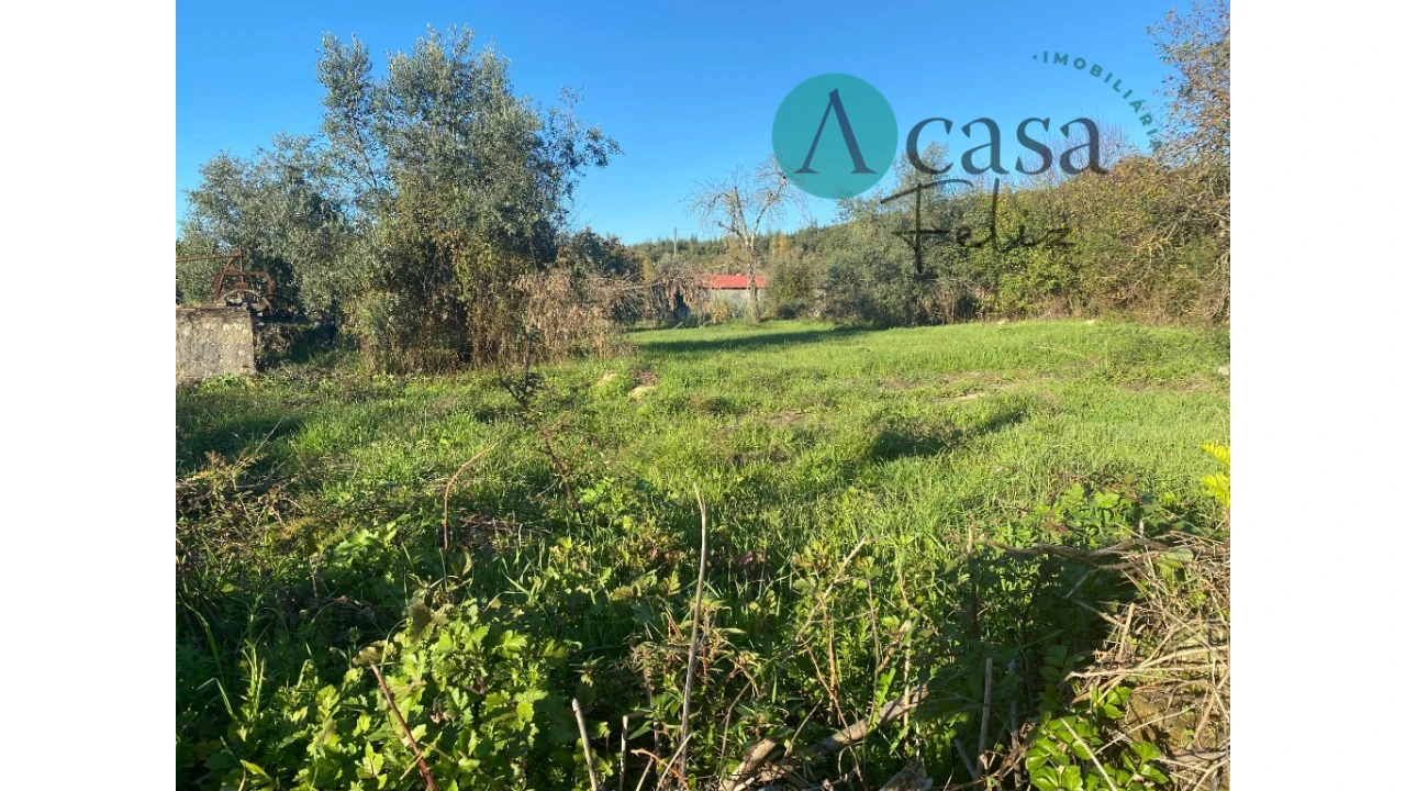 Terreno para Venda em Nossa Senhora do Pranto Foto 5