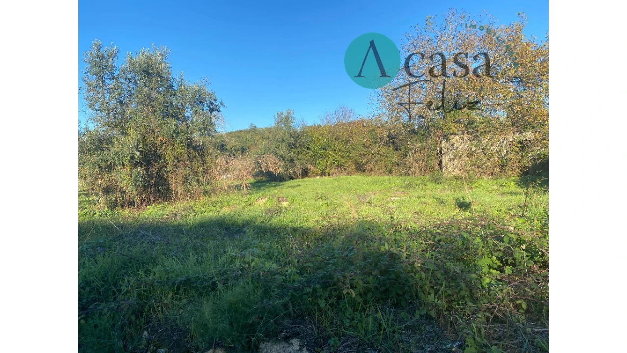 Terreno para Venda em Nossa Senhora do Pranto Foto 6