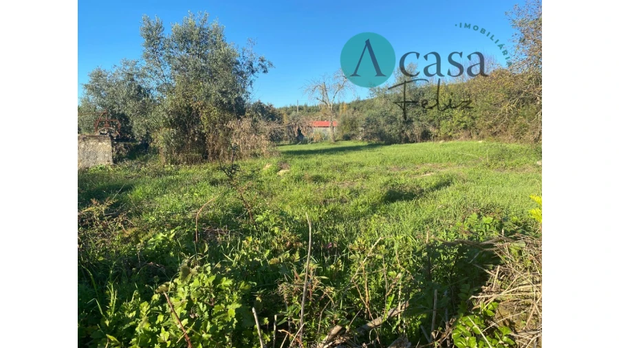Terreno para Venda em Nossa Senhora do Pranto Foto 7