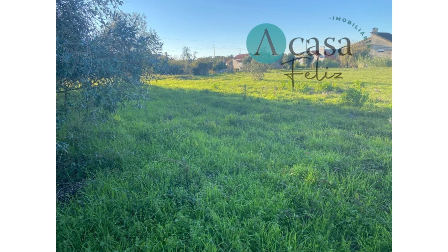 Terreno para Venda em Nossa Senhora do Pranto Foto 12