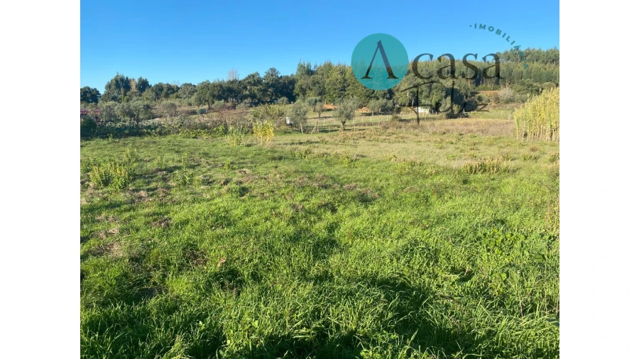 Terreno para Venda em Nossa Senhora do Pranto Foto 8