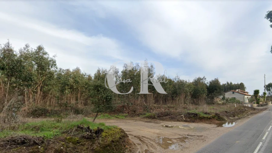 Terreno para Venda em Arega