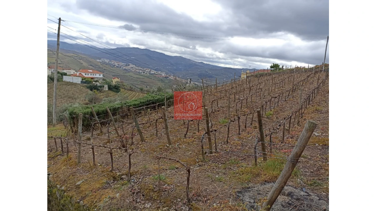 Terreno para Venda em Peso da Régua e Godim Foto 4