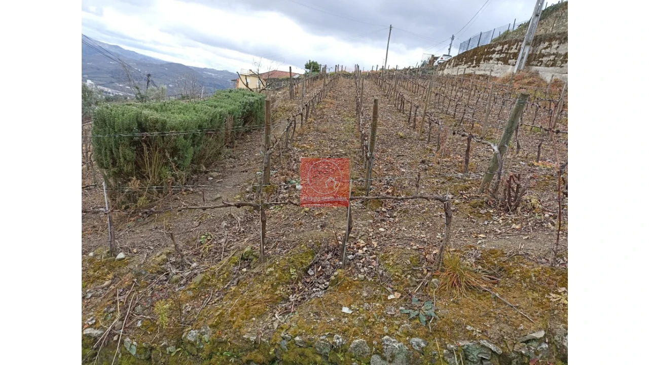 Terreno para Venda em Peso da Régua e Godim Foto 5