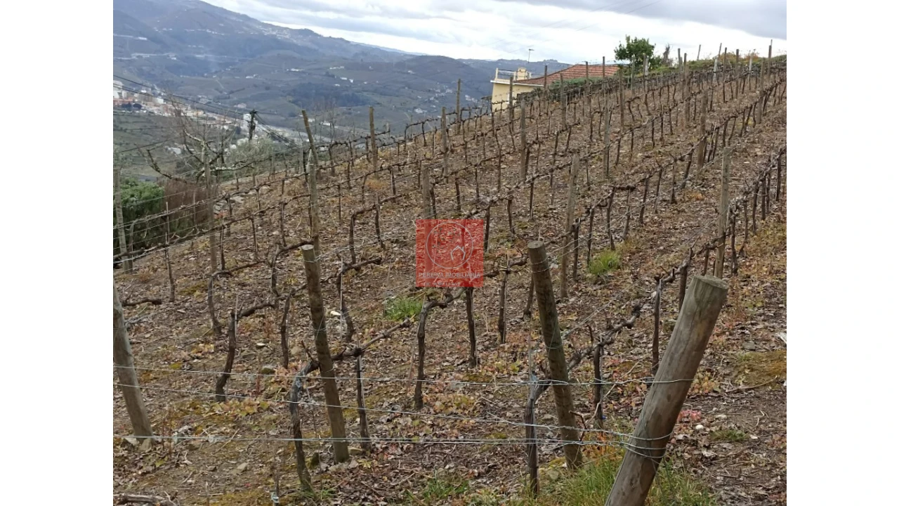 Terreno para Venda em Peso da Régua e Godim Foto 1