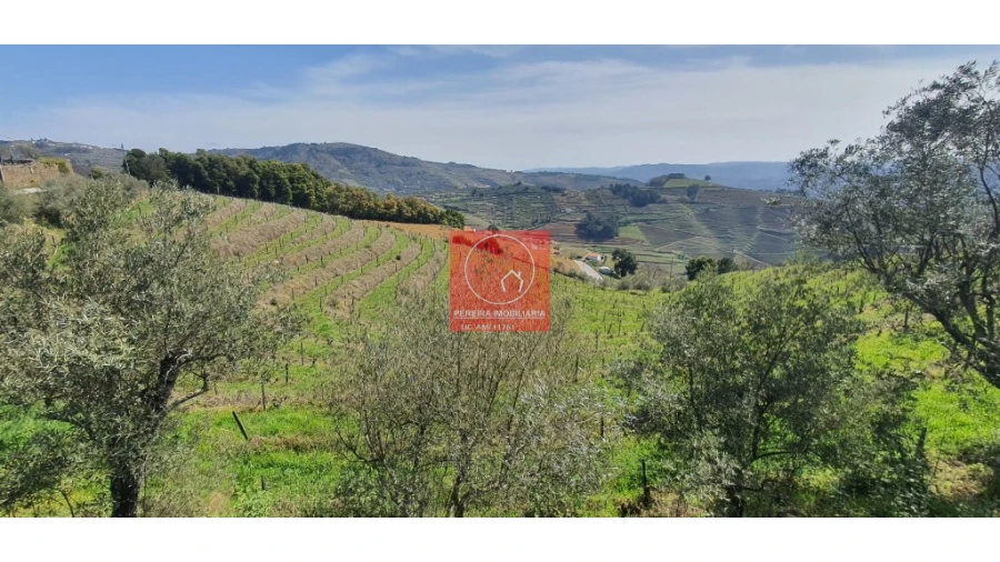 Quinta T4 para Venda em Vila Marim Foto 2