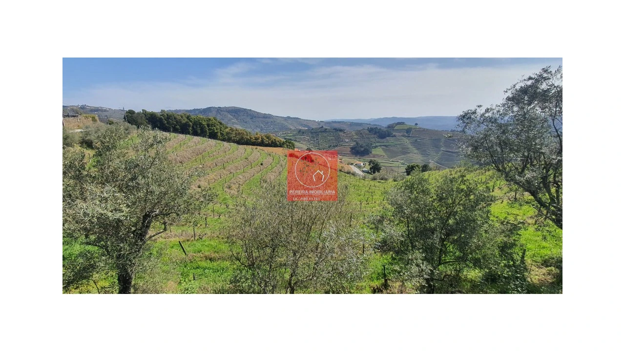 Quinta T4 para Venda em Vila Marim Foto 2