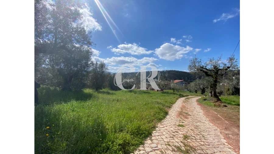 Moradia T2 para Venda em Podentes Foto 36