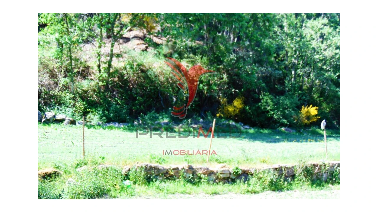 Terreno para Venda em Parada de Cunhos Foto 18