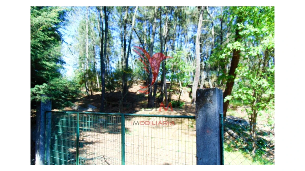 Terreno para Venda em Parada de Cunhos Foto 1