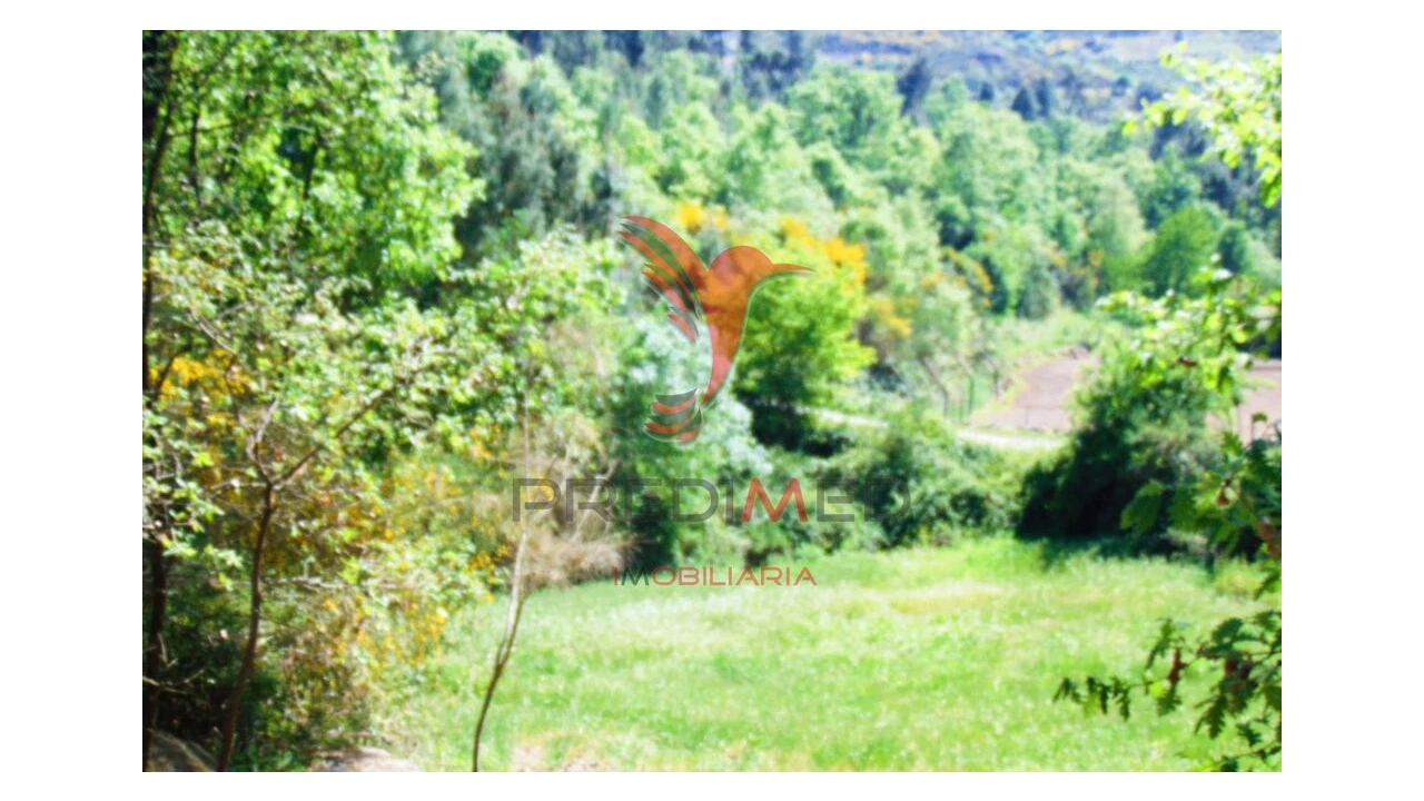 Terreno para Venda em Parada de Cunhos Foto 6