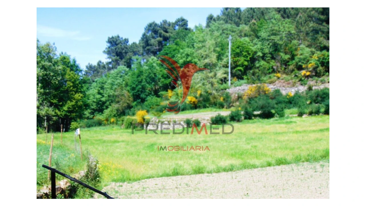 Terreno para Venda em Parada de Cunhos Foto 9