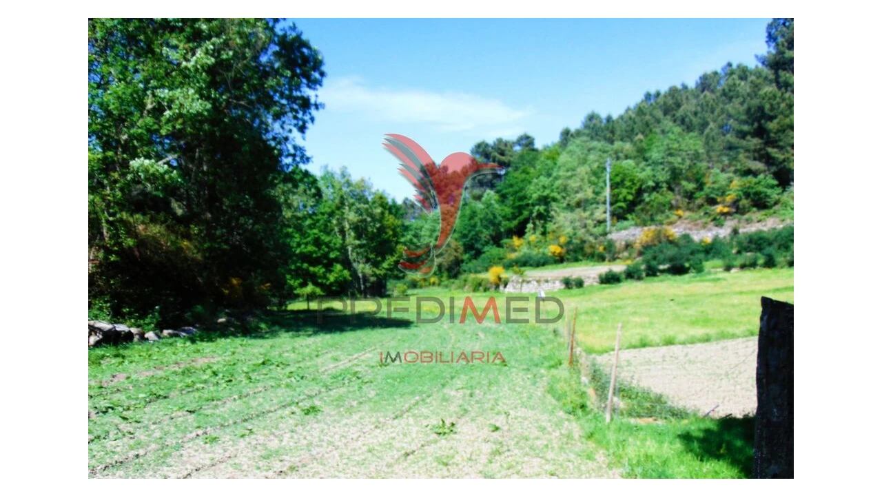 Terreno para Venda em Parada de Cunhos Foto 15