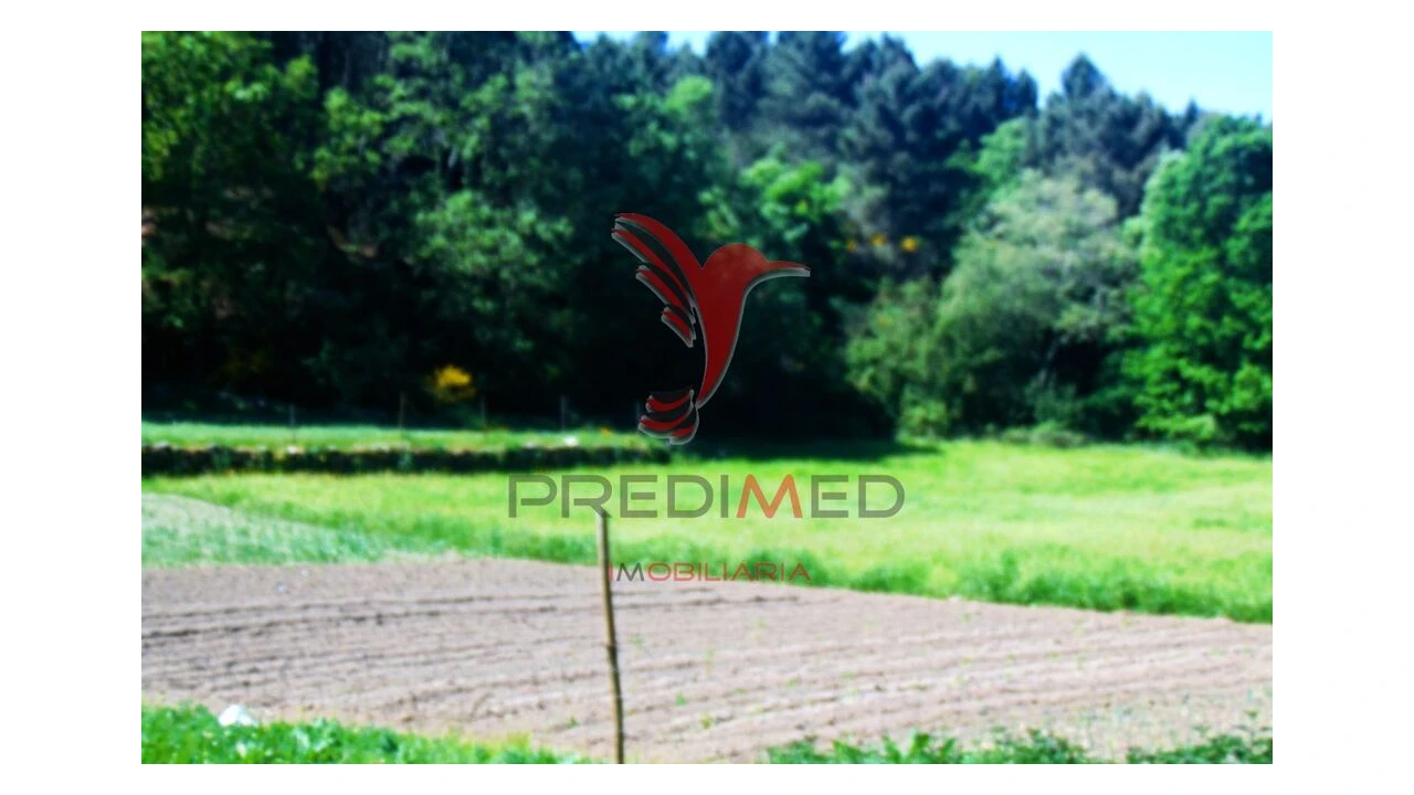 Terreno para Venda em Parada de Cunhos Foto 13