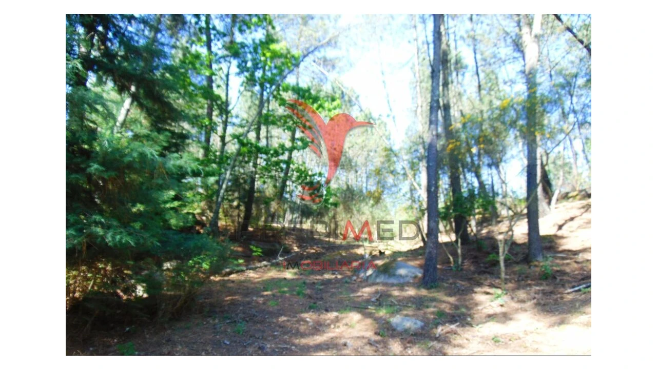 Terreno para Venda em Parada de Cunhos Foto 4