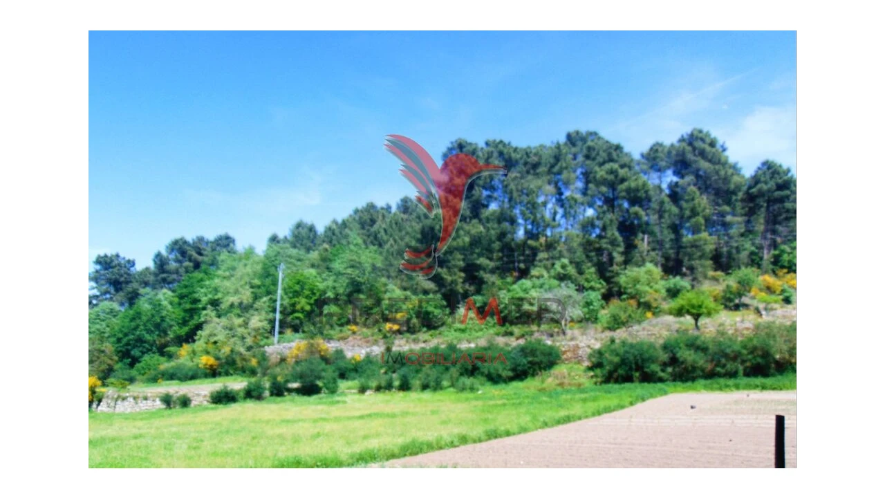 Terreno para Venda em Parada de Cunhos Foto 10