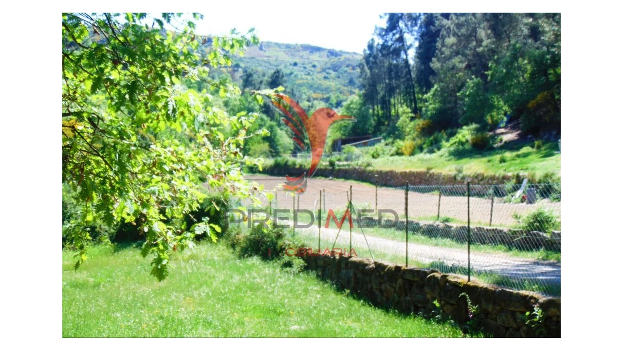 Terreno para Venda em Parada de Cunhos Foto 3