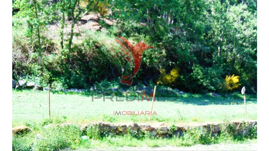 Terreno para Venda em Parada de Cunhos Foto 18