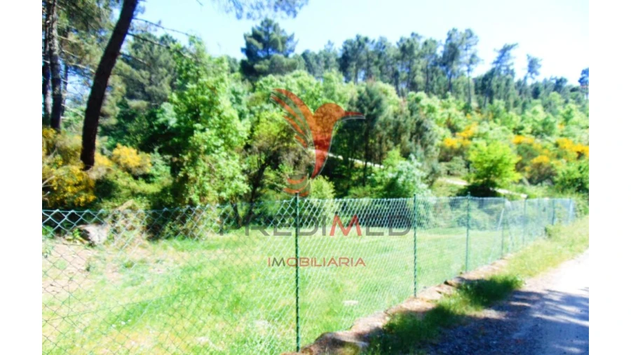 Terreno para Venda em Parada de Cunhos Foto 2