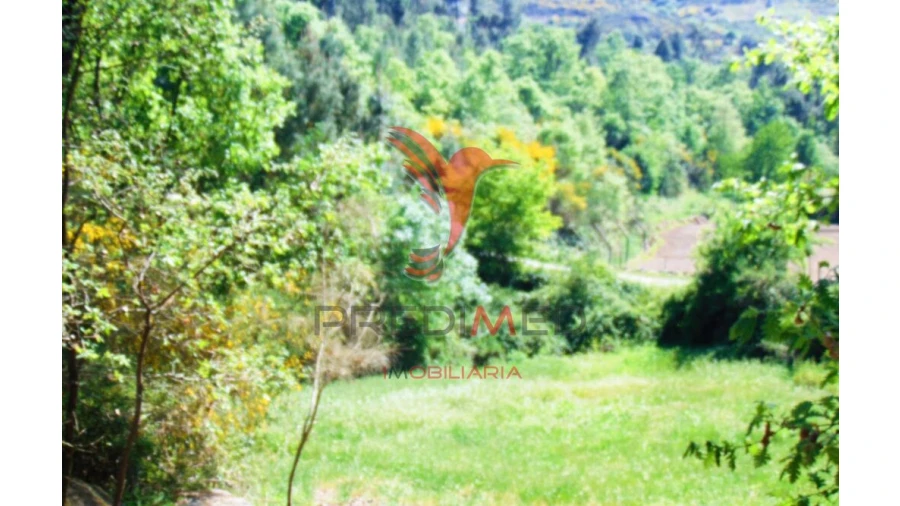 Terreno para Venda em Parada de Cunhos Foto 6